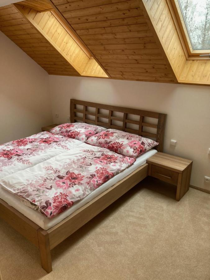 Strelenka Holiday home Janov nad Nisou